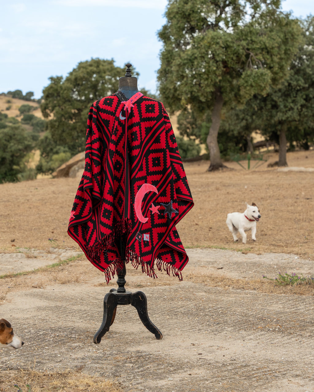 Poncho — Edition No. 01